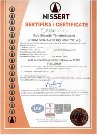 FSSC 22000 · Türkçe önizlemesi